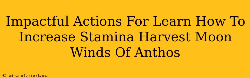 Impactful Actions For Learn How To Increase Stamina Harvest Moon Winds Of Anthos