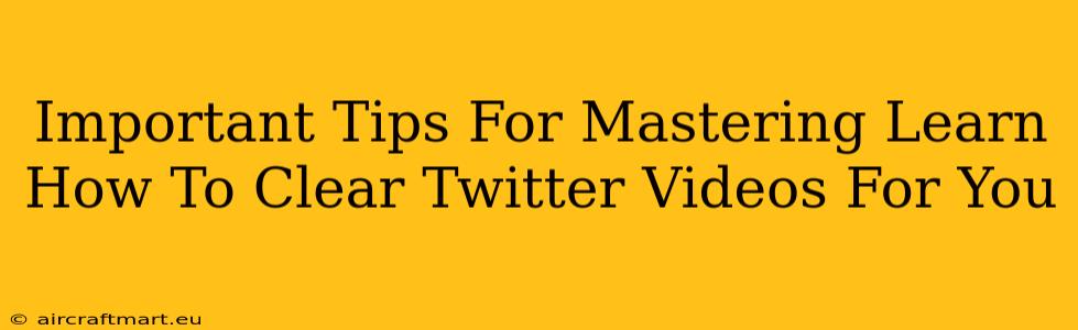 Important Tips For Mastering Learn How To Clear Twitter Videos For You