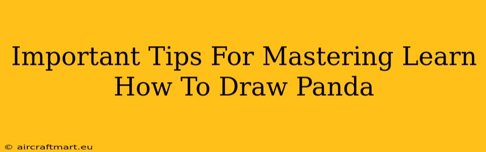 Important Tips For Mastering Learn How To Draw Panda