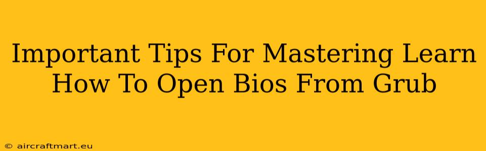 Important Tips For Mastering Learn How To Open Bios From Grub