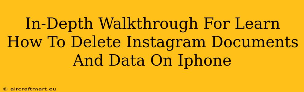 In-Depth Walkthrough For Learn How To Delete Instagram Documents And Data On Iphone