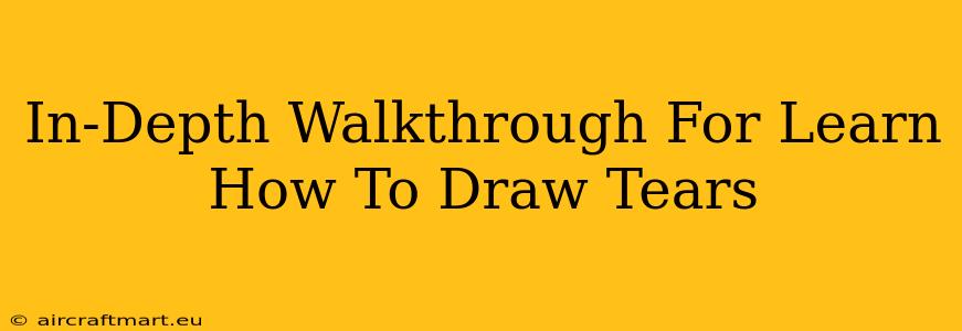 In-Depth Walkthrough For Learn How To Draw Tears