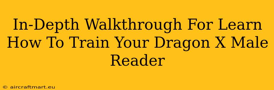 In-Depth Walkthrough For Learn How To Train Your Dragon X Male Reader