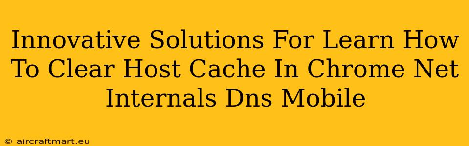 Innovative Solutions For Learn How To Clear Host Cache In Chrome Net Internals Dns Mobile