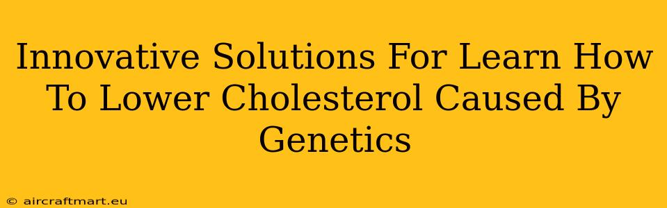 Innovative Solutions For Learn How To Lower Cholesterol Caused By Genetics