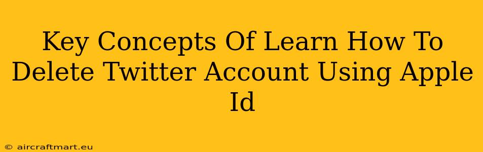 Key Concepts Of Learn How To Delete Twitter Account Using Apple Id