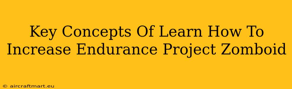 Key Concepts Of Learn How To Increase Endurance Project Zomboid