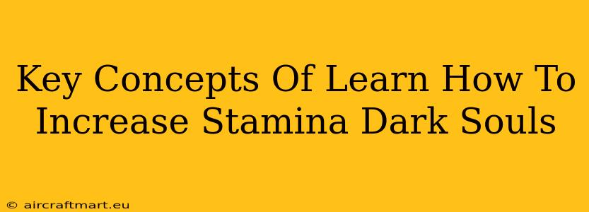 Key Concepts Of Learn How To Increase Stamina Dark Souls