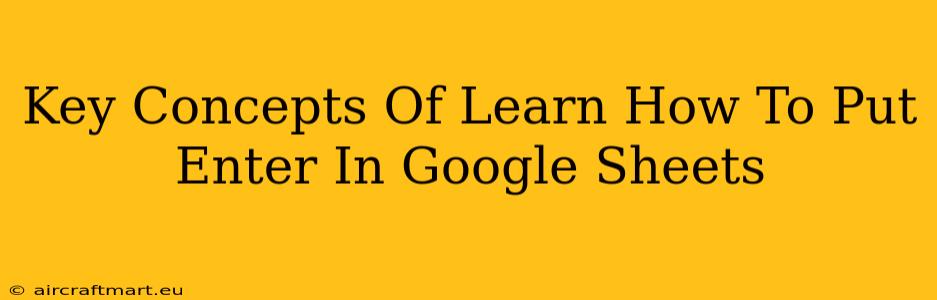 Key Concepts Of Learn How To Put Enter In Google Sheets