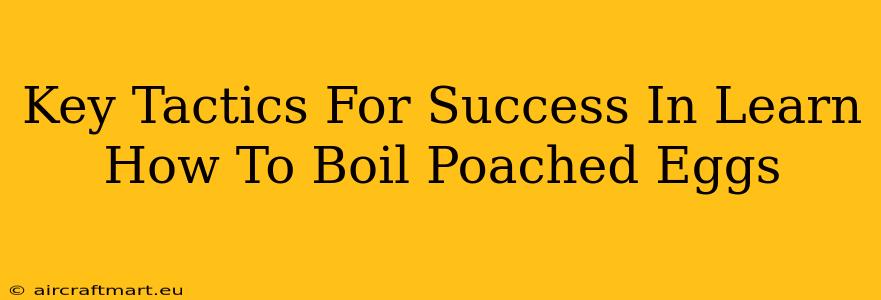 Key Tactics For Success In Learn How To Boil Poached Eggs