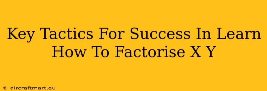 Key Tactics For Success In Learn How To Factorise X Y