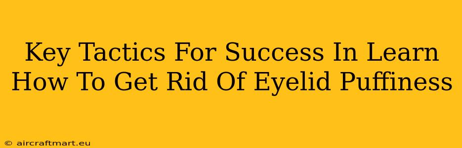 Key Tactics For Success In Learn How To Get Rid Of Eyelid Puffiness