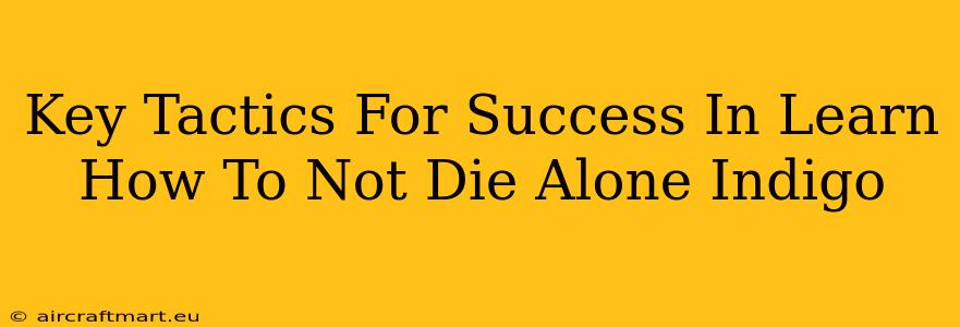 Key Tactics For Success In Learn How To Not Die Alone Indigo