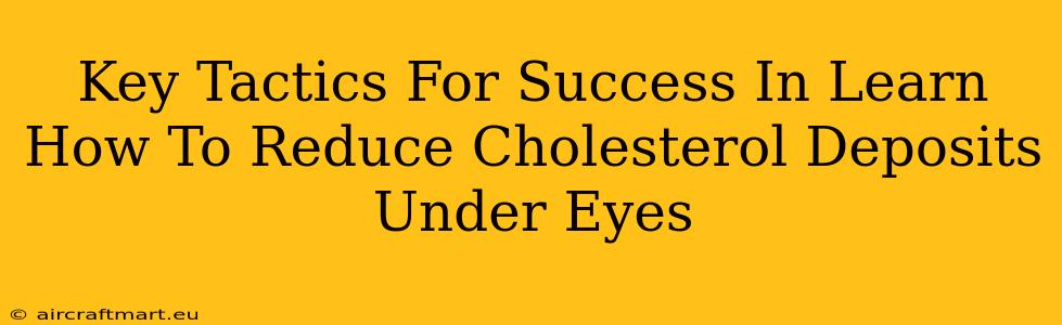 Key Tactics For Success In Learn How To Reduce Cholesterol Deposits Under Eyes