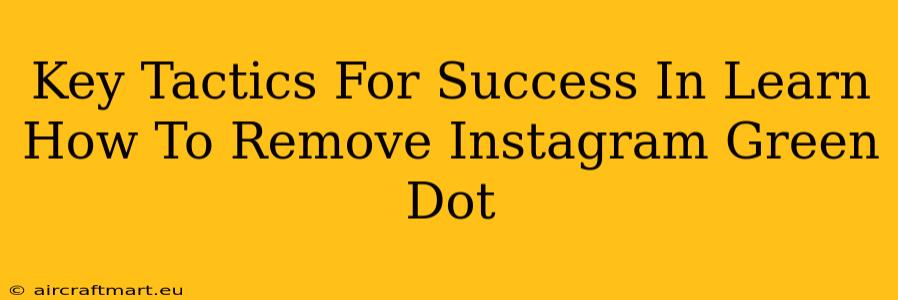 Key Tactics For Success In Learn How To Remove Instagram Green Dot