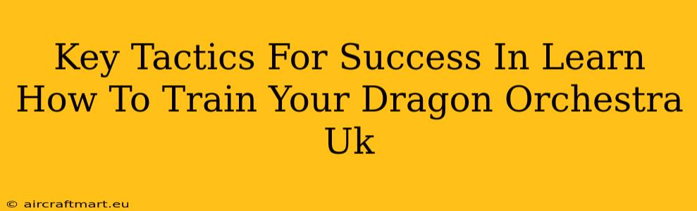 Key Tactics For Success In Learn How To Train Your Dragon Orchestra Uk