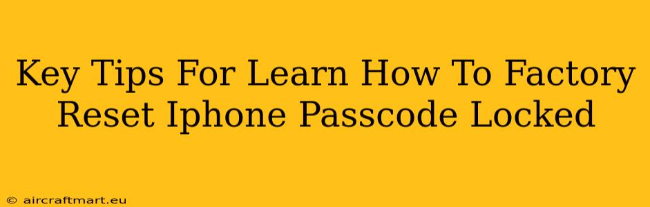 Key Tips For Learn How To Factory Reset Iphone Passcode Locked