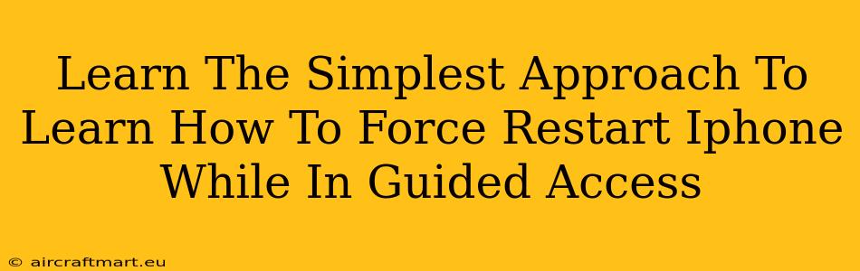 Learn The Simplest Approach To Learn How To Force Restart Iphone While In Guided Access