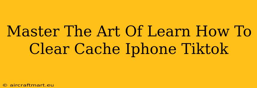 Master The Art Of Learn How To Clear Cache Iphone Tiktok