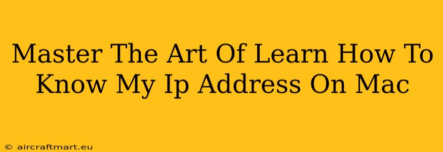 Master The Art Of Learn How To Know My Ip Address On Mac