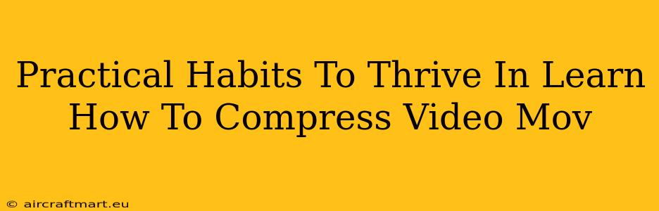 Practical Habits To Thrive In Learn How To Compress Video Mov