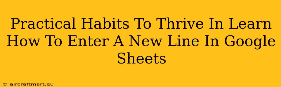 Practical Habits To Thrive In Learn How To Enter A New Line In Google Sheets