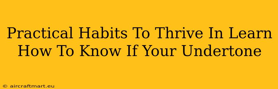 Practical Habits To Thrive In Learn How To Know If Your Undertone