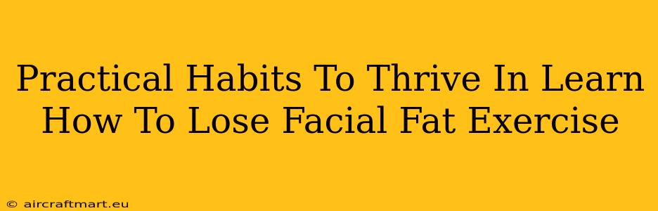 Practical Habits To Thrive In Learn How To Lose Facial Fat Exercise