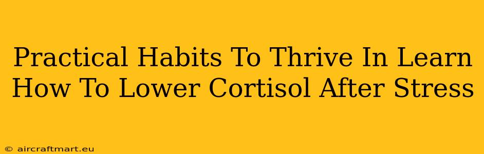 Practical Habits To Thrive In Learn How To Lower Cortisol After Stress