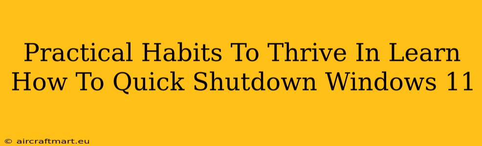 Practical Habits To Thrive In Learn How To Quick Shutdown Windows 11