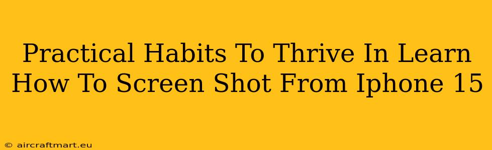 Practical Habits To Thrive In Learn How To Screen Shot From Iphone 15