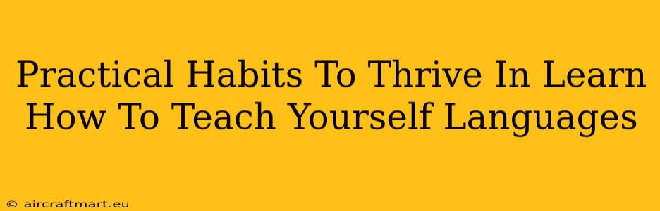 Practical Habits To Thrive In Learn How To Teach Yourself Languages