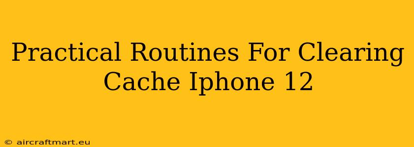 Practical Routines For Clearing Cache Iphone 12