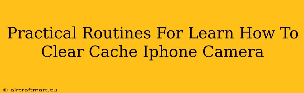 Practical Routines For Learn How To Clear Cache Iphone Camera