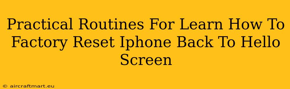 Practical Routines For Learn How To Factory Reset Iphone Back To Hello Screen