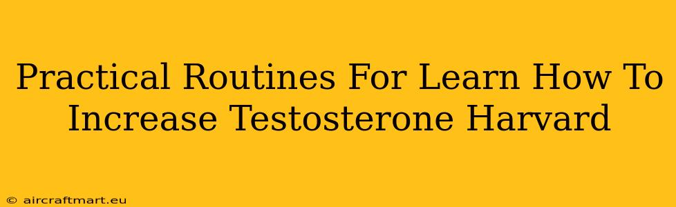 Practical Routines For Learn How To Increase Testosterone Harvard