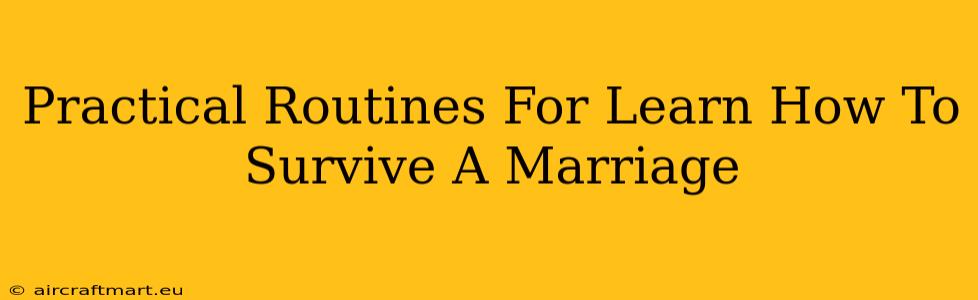 Practical Routines For Learn How To Survive A Marriage