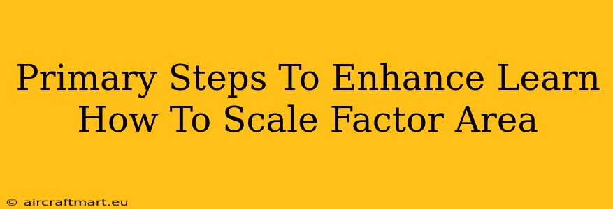 Primary Steps To Enhance Learn How To Scale Factor Area