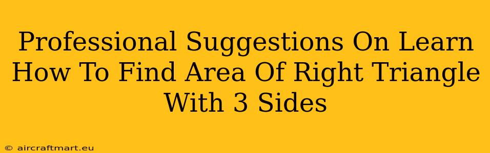 Professional Suggestions On Learn How To Find Area Of Right Triangle With 3 Sides