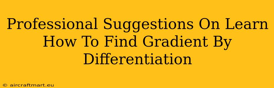 Professional Suggestions On Learn How To Find Gradient By Differentiation