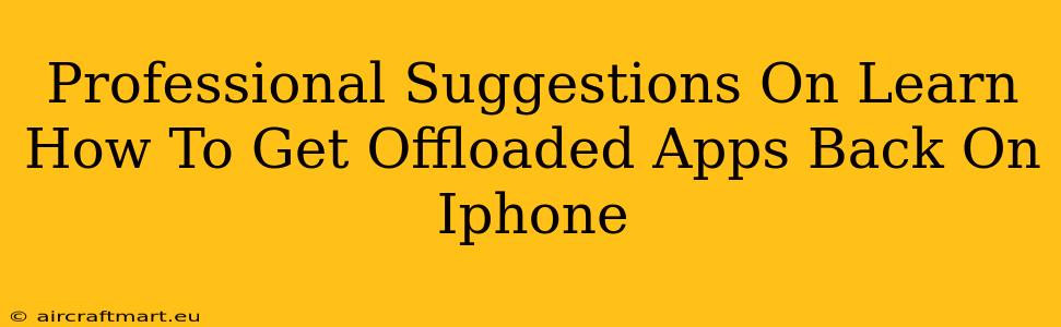 Professional Suggestions On Learn How To Get Offloaded Apps Back On Iphone