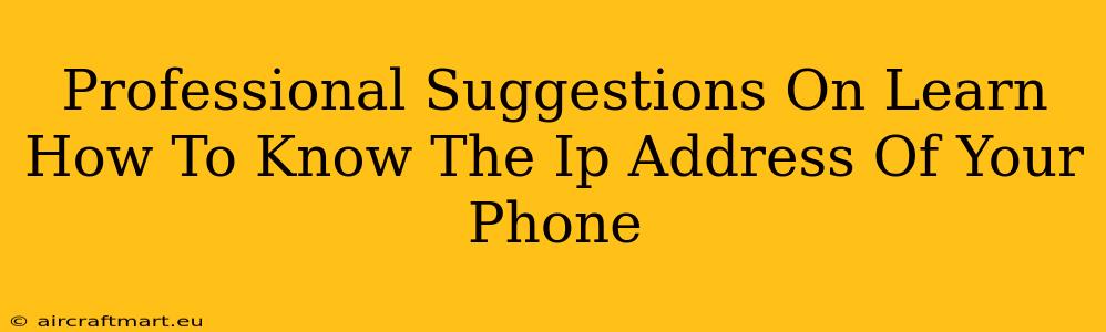 Professional Suggestions On Learn How To Know The Ip Address Of Your Phone