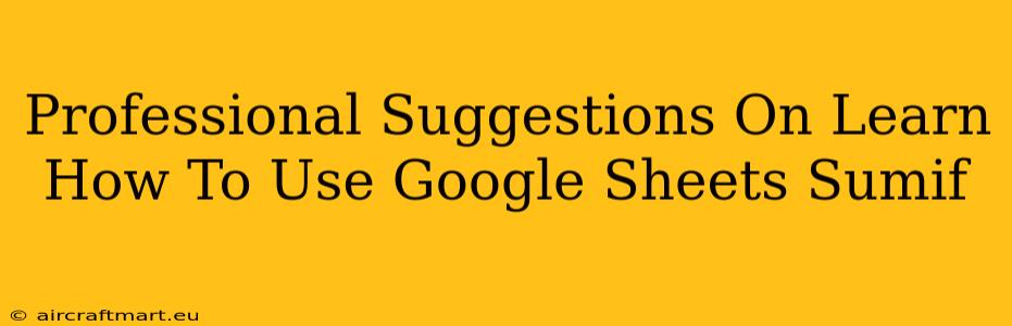 Professional Suggestions On Learn How To Use Google Sheets Sumif