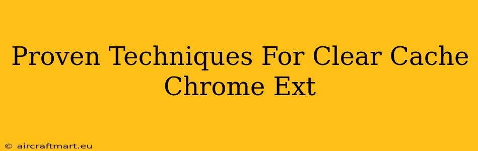 Proven Techniques For Clear Cache Chrome Ext