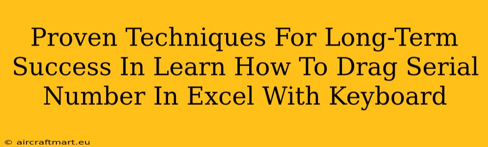 Proven Techniques For Long-Term Success In Learn How To Drag Serial Number In Excel With Keyboard