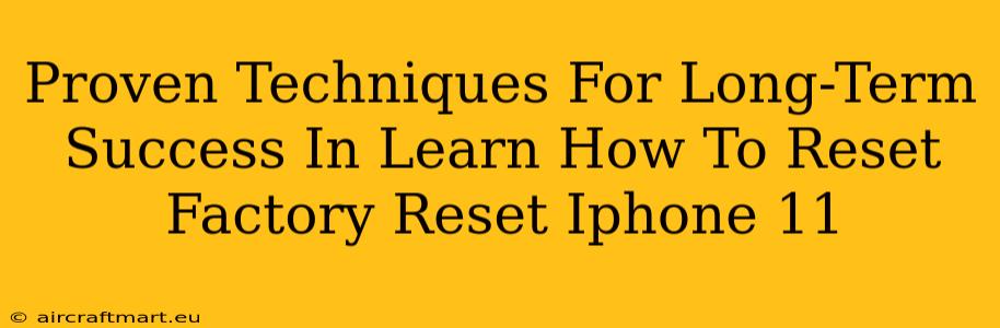 Proven Techniques For Long-Term Success In Learn How To Reset Factory Reset Iphone 11