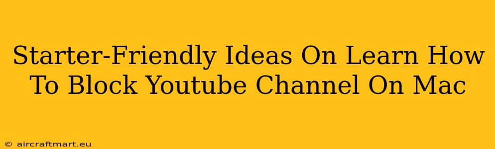 Starter-Friendly Ideas On Learn How To Block Youtube Channel On Mac