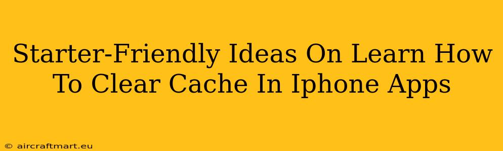 Starter-Friendly Ideas On Learn How To Clear Cache In Iphone Apps