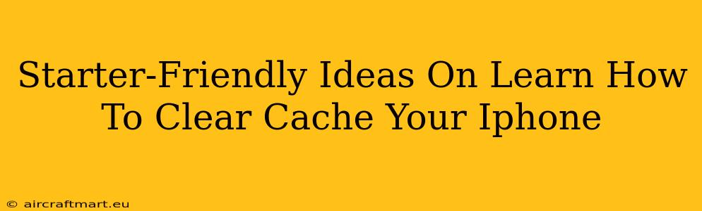 Starter-Friendly Ideas On Learn How To Clear Cache Your Iphone