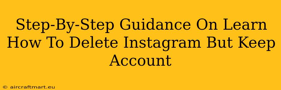 Step-By-Step Guidance On Learn How To Delete Instagram But Keep Account